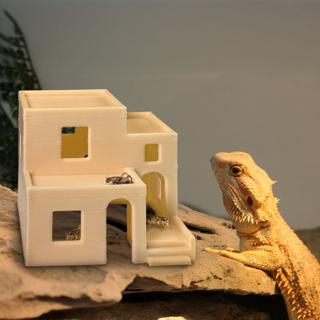 Reptile