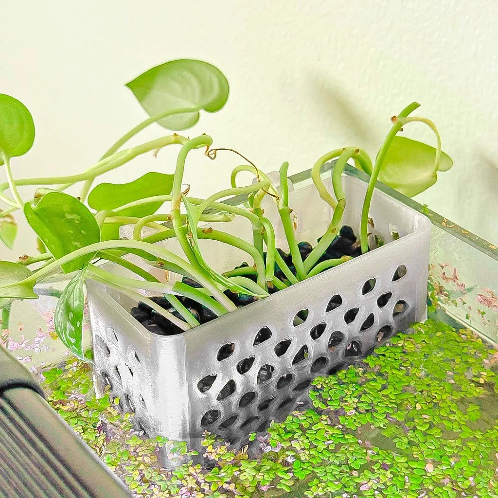 Over‑the‑Edge Aquarium Planter