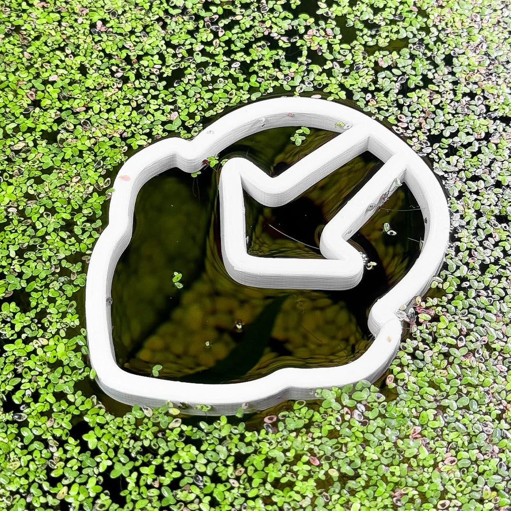 Airbender Fish Feeding Portal