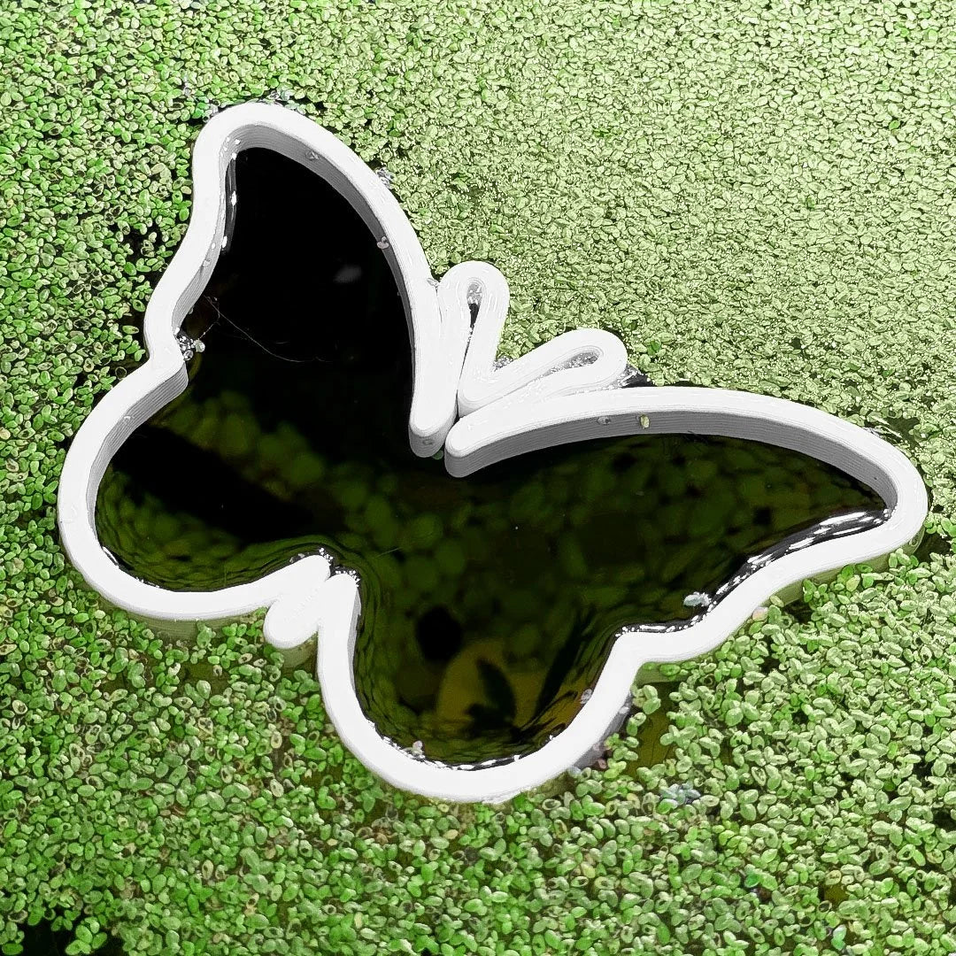 Butterfly Fish Feeding Portal