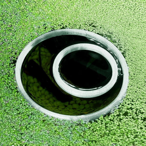 Circle Fish Feeding Portal
