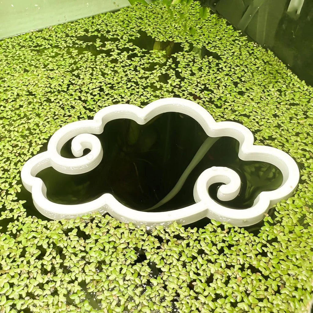 Cloud Fish Feeding Portal