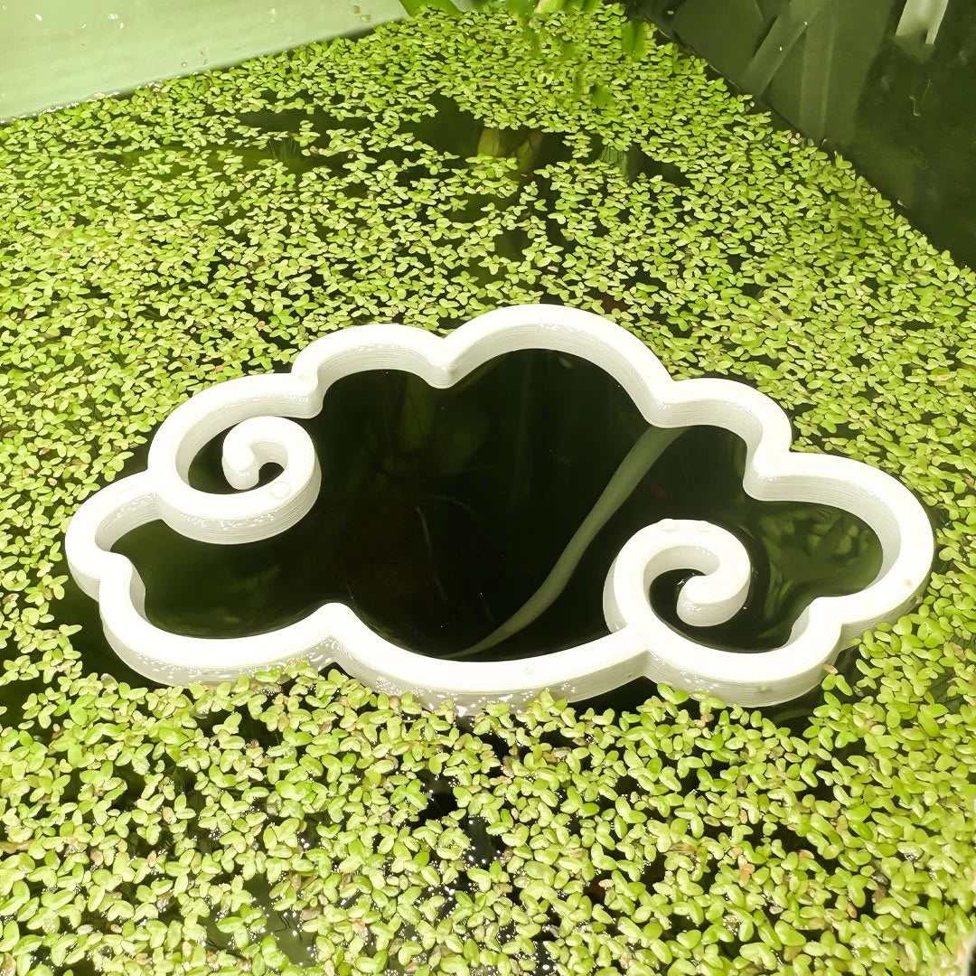 Cloud Fish Feeding Portal