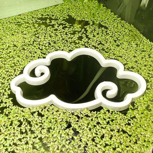 Cloud Fish Feeding Portal