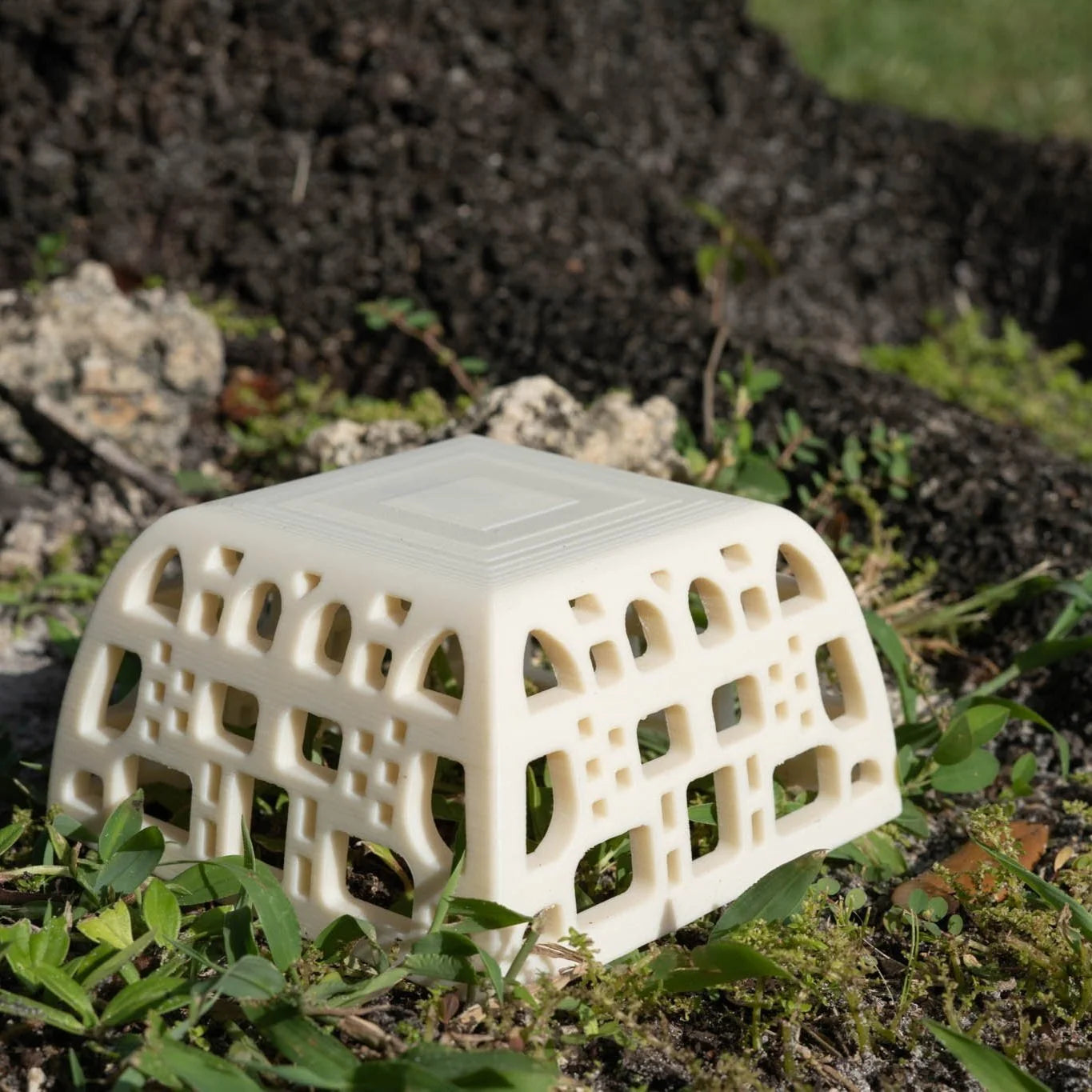 Cricket Hotel Hide - Reptile Slow Feeder