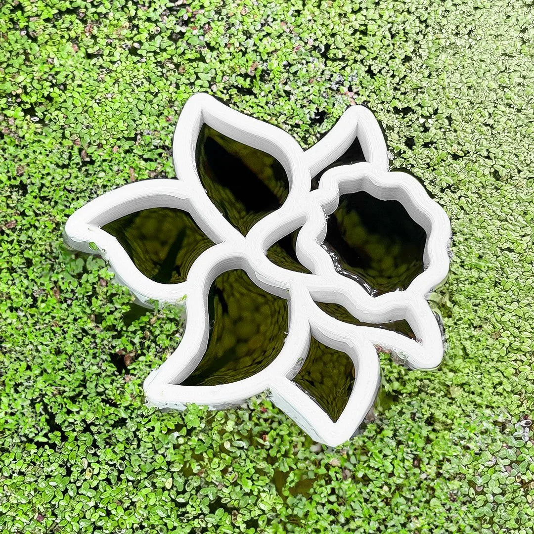 Daffodil Fish Feeding Portal
