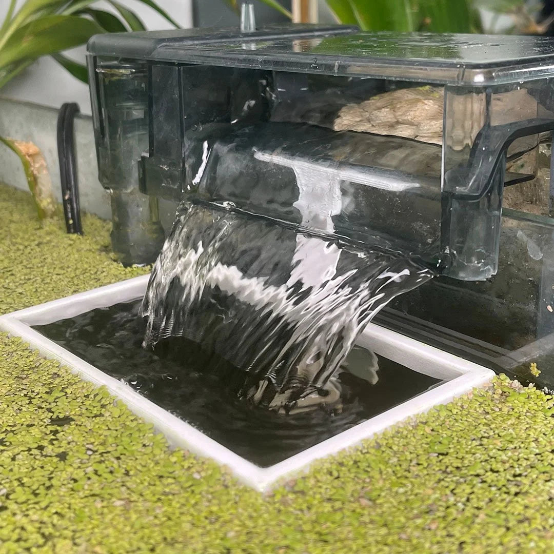 Rectangle Fishtank Filter Corral