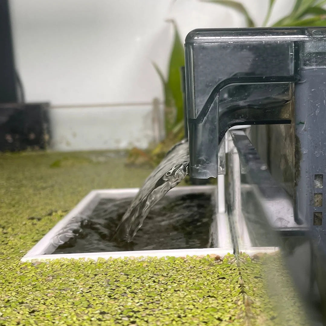 Rectangle Fishtank Filter Corral