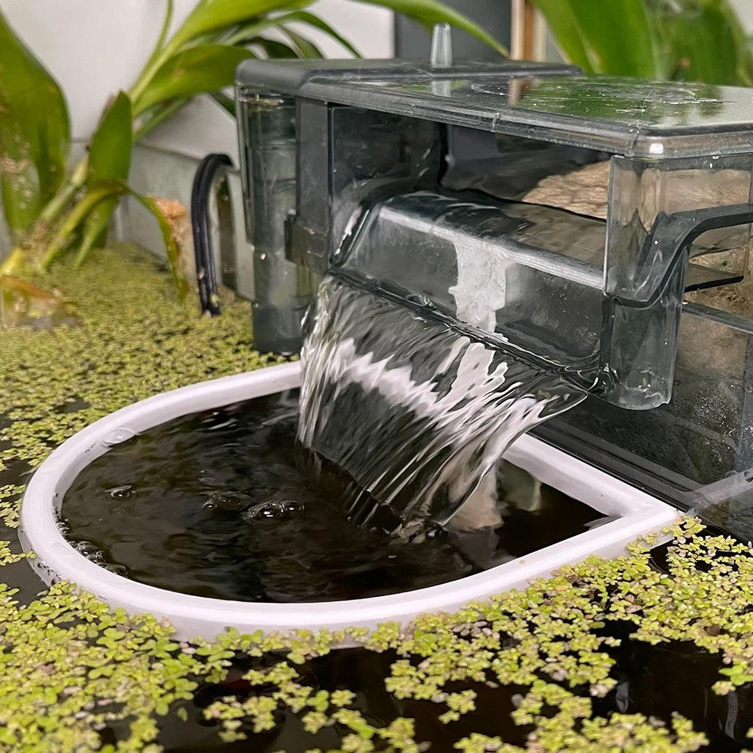 Rounded Fishtank Filter Corral