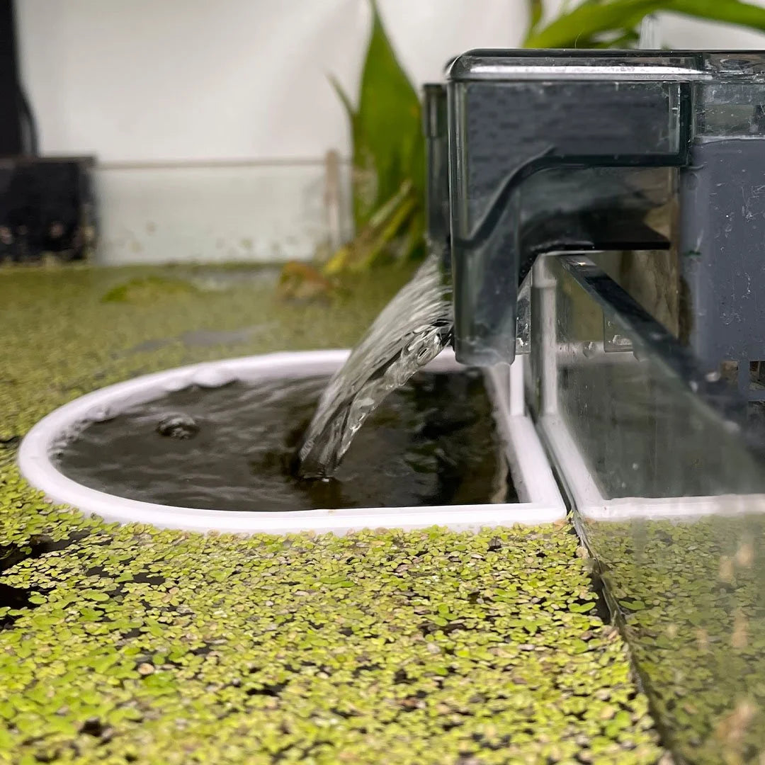 Rounded Fishtank Filter Corral