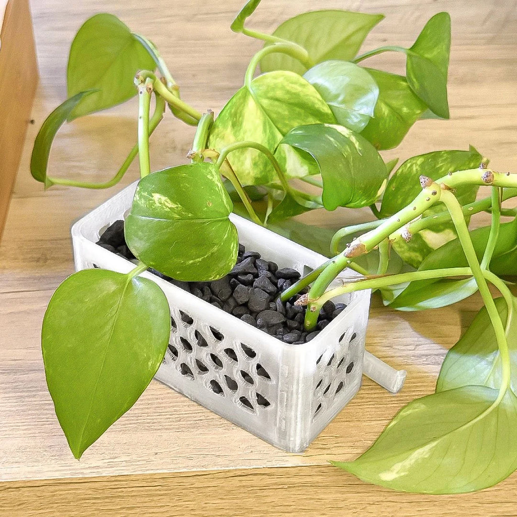 Over‑the‑Edge Aquarium Planter