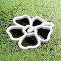 Hibiscus Fish Feeding Portal