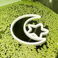 Moonlight Fish Feeding Portal