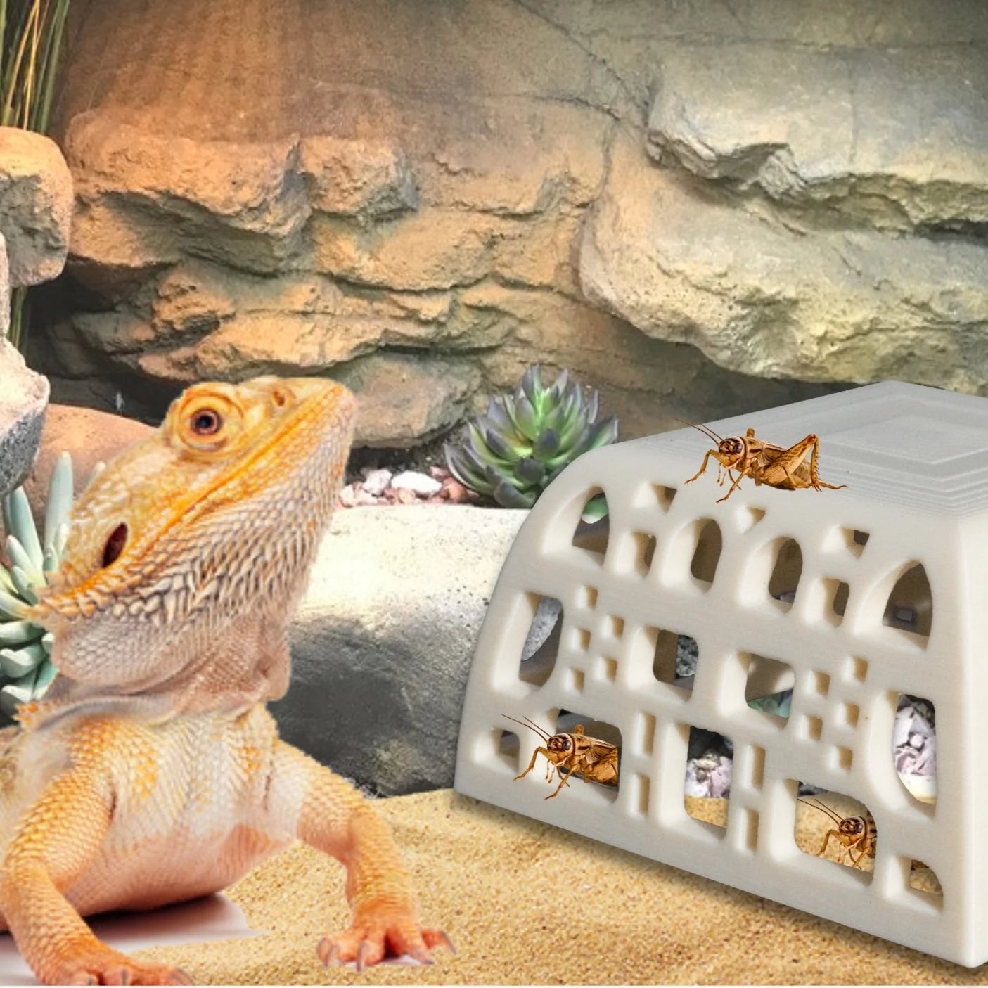 Cricket Hotel Hide - Reptile Slow Feeder