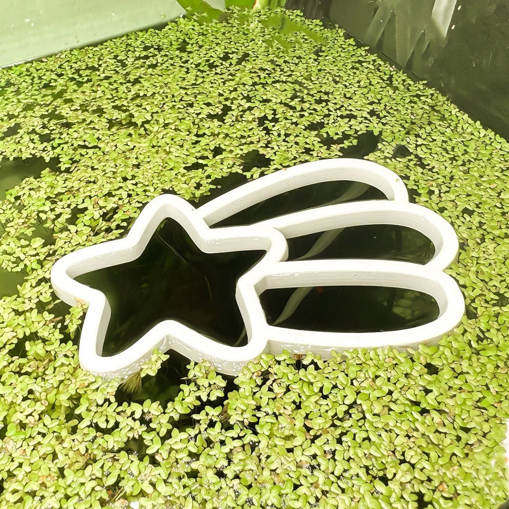 Shooting Star Fish Feeding Portal