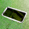 Rectangle Fish Feeding Portal