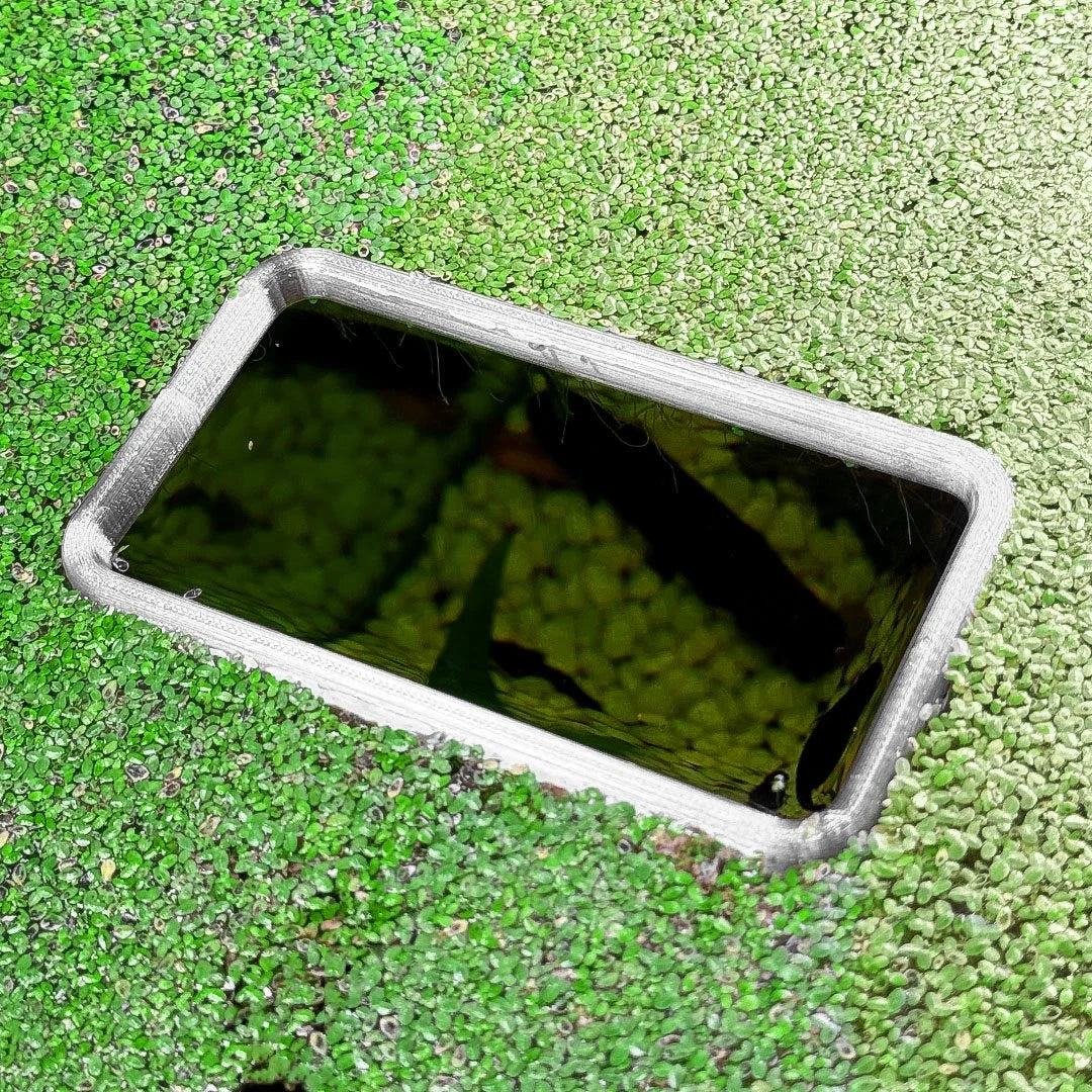 Rectangle Fish Feeding Portal