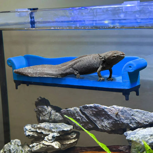 Couch Perch for Axolotl / Blenny / Betta / Goby