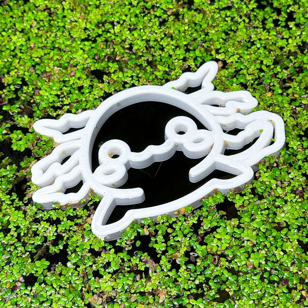 Axolotl Fish Feeding Portal