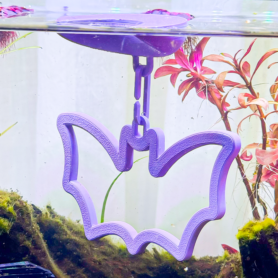 Floating Bat Betta Swim Ring