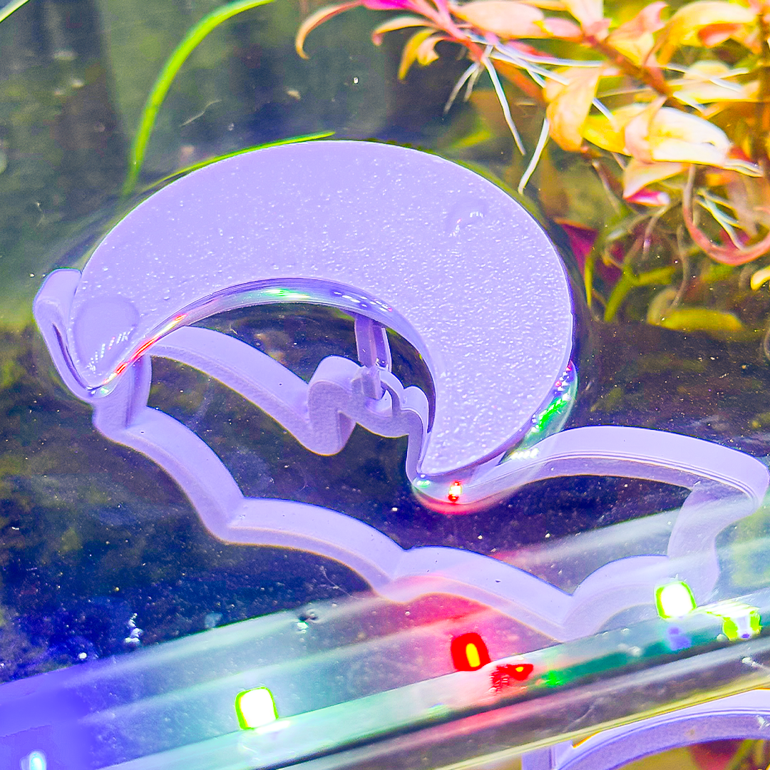 Floating Bat Betta Swim Ring