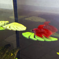 Monstera Leaf Betta Perch / Hammock