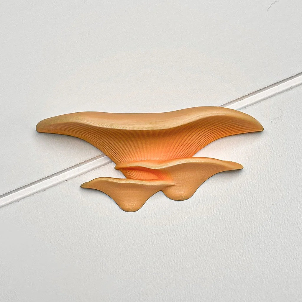 Mushroom Perch / Hammock for Bettas Blennys