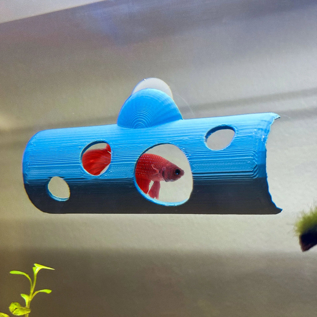 Betta Peak-a-boo Tunnel w/ Windows