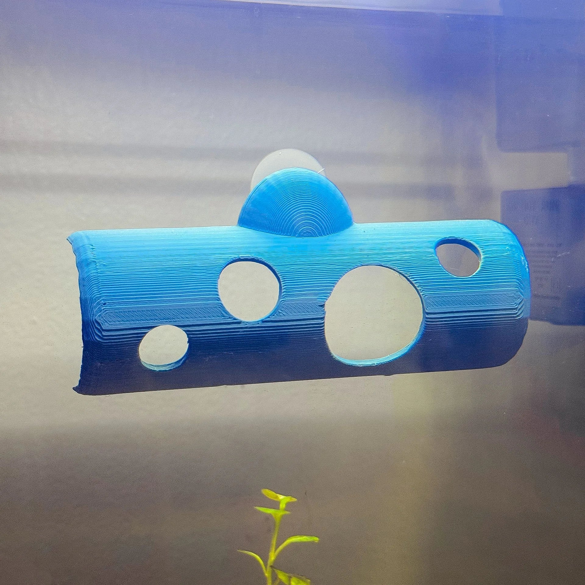 Betta Peak-a-boo Tunnel w/ Windows