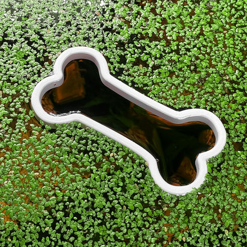 Bone Feeding Portal