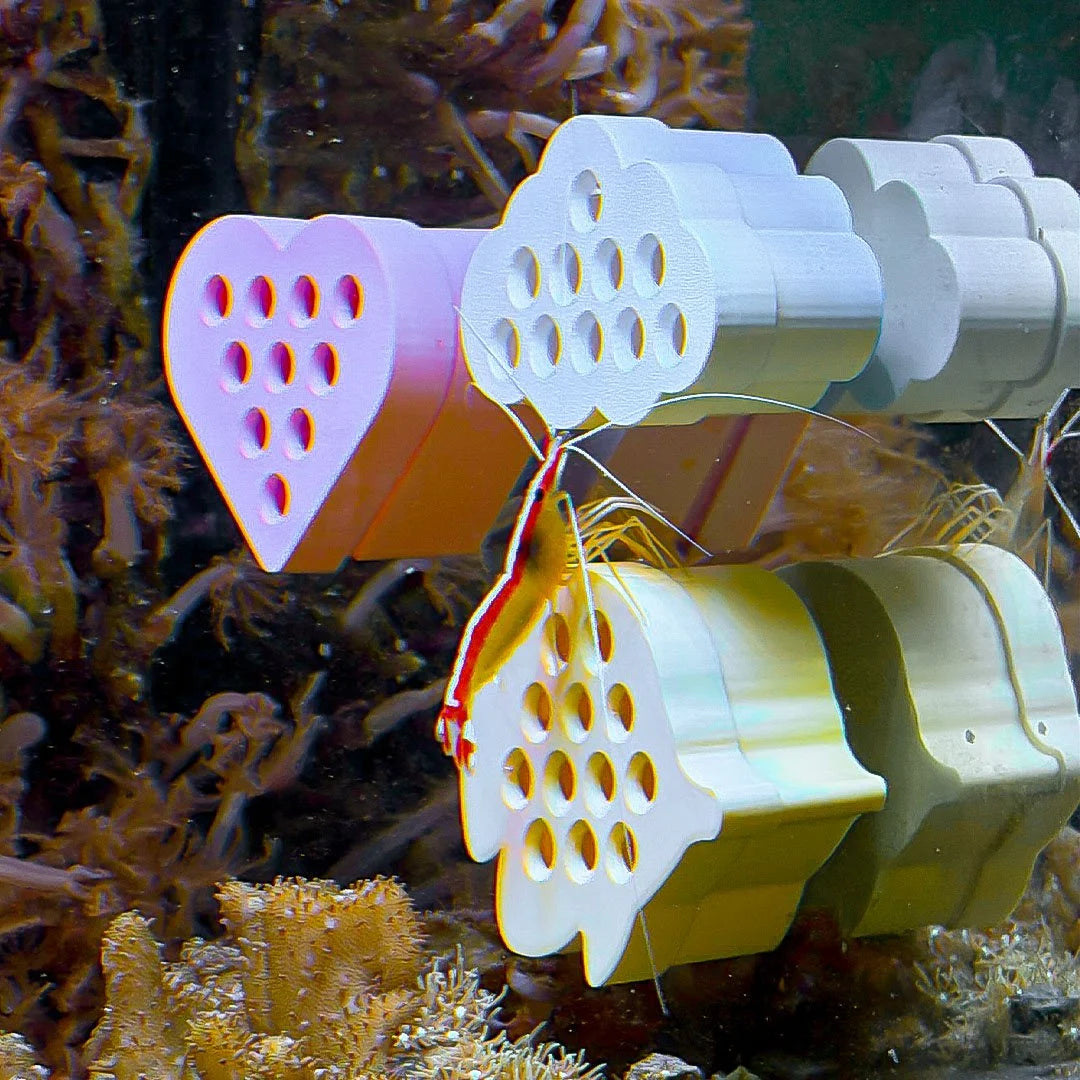 Butterfly Fish / Shrimp Feeder