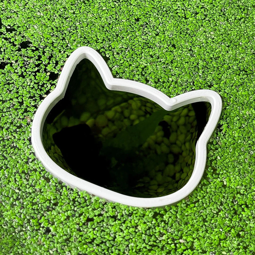Cat Fish Feeding Portal