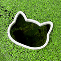 Cat Fish Feeding Portal