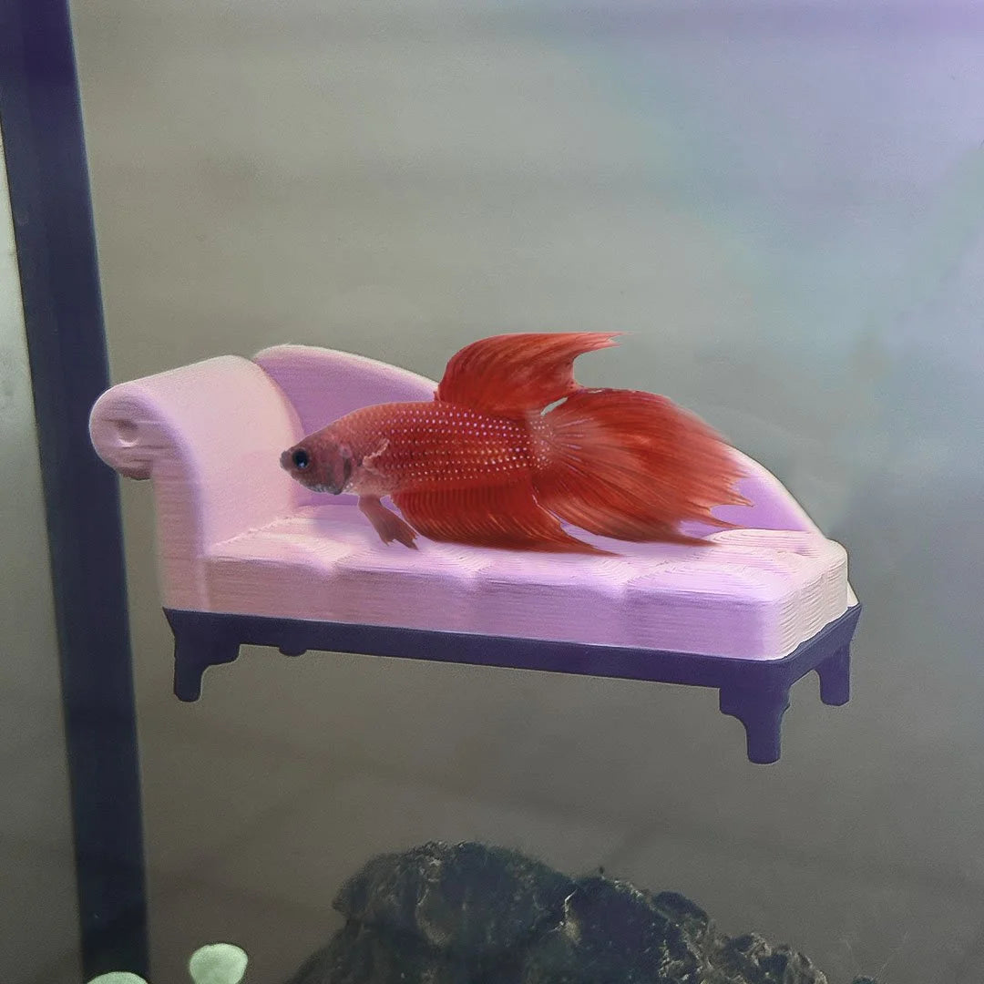 Chaise Lounge Perch / Hammock for Bettas Blenny