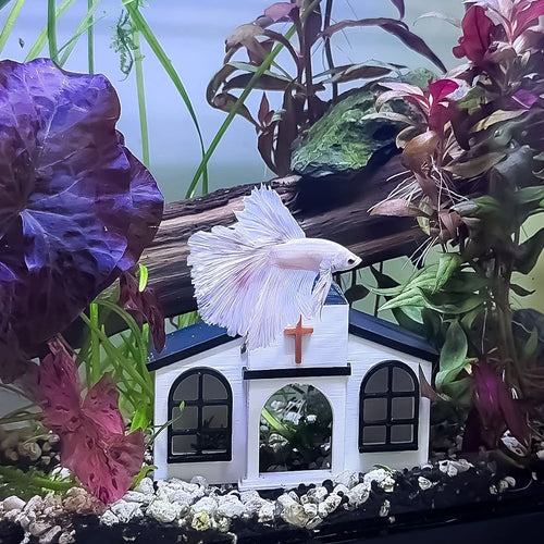 Church Betta Hide / Cave