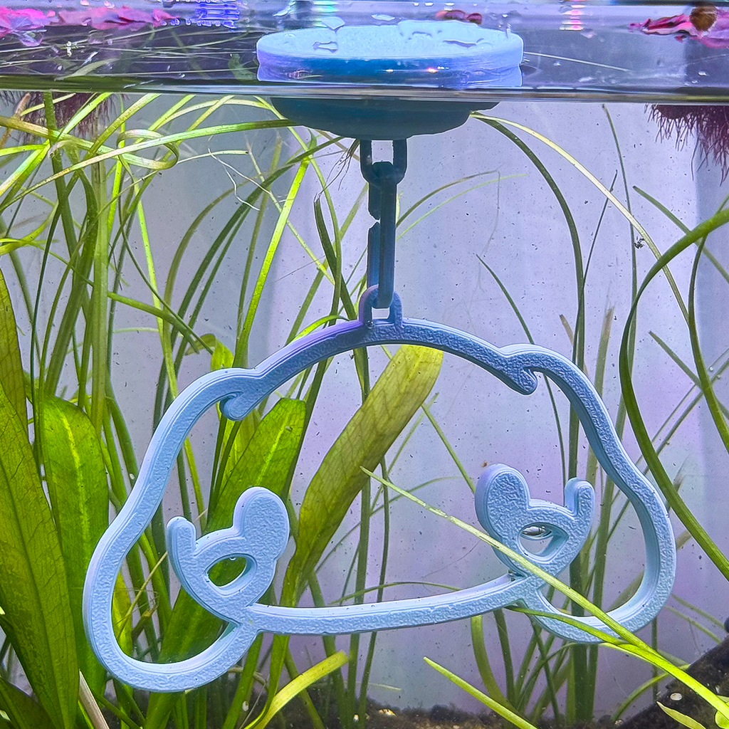 Floating Cinna Betta Swim Ring