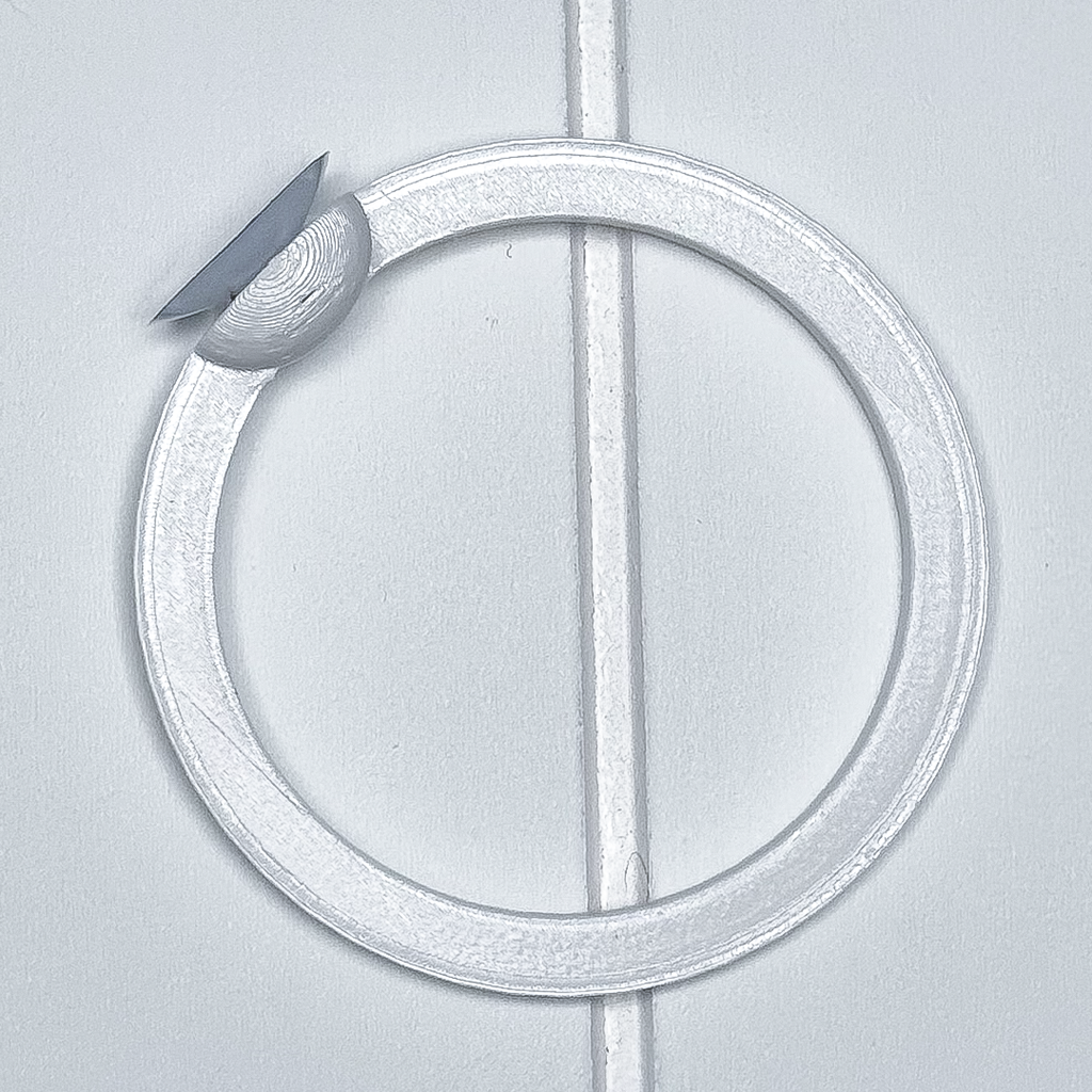 Circle Betta Swim Ring