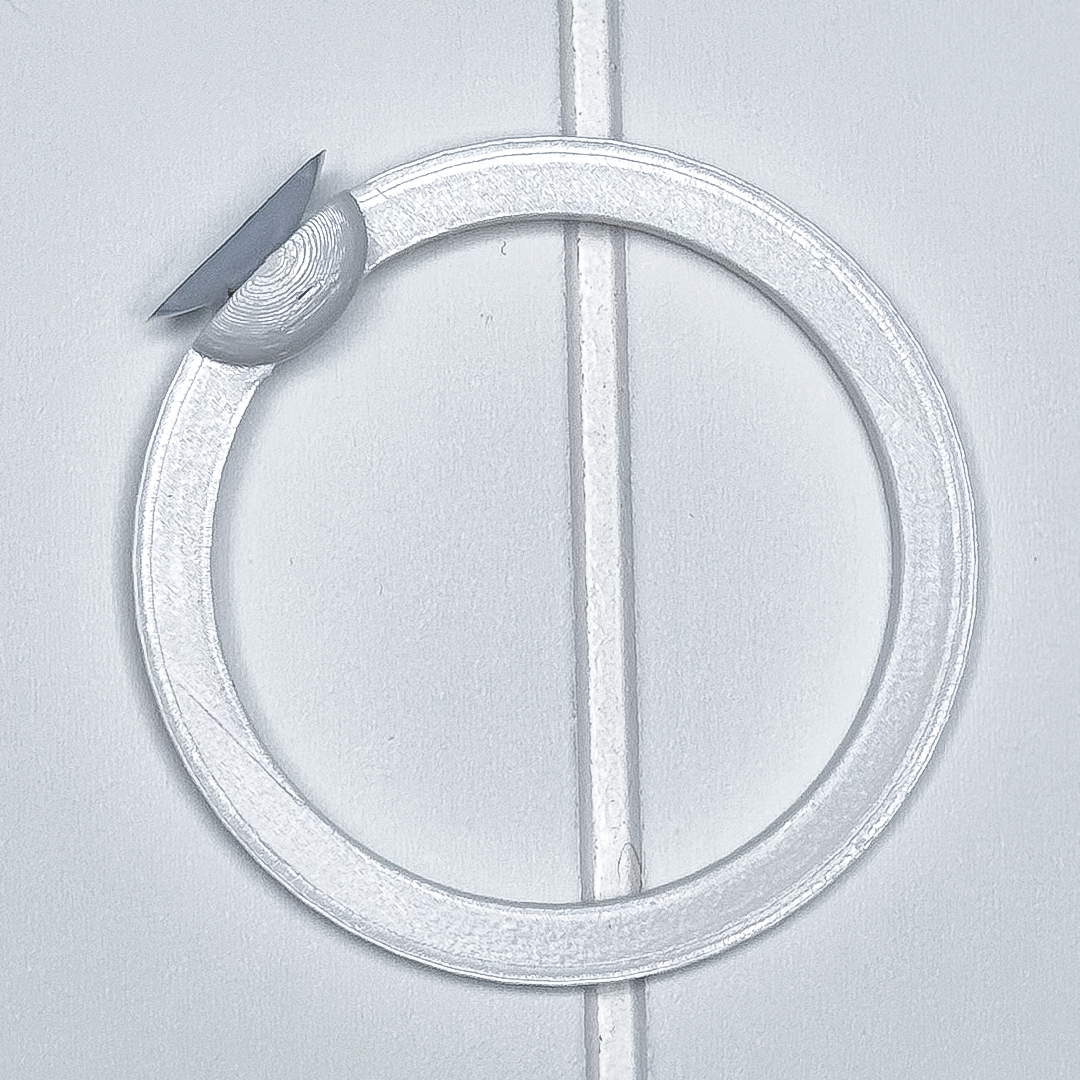 Circle Betta Swim Ring