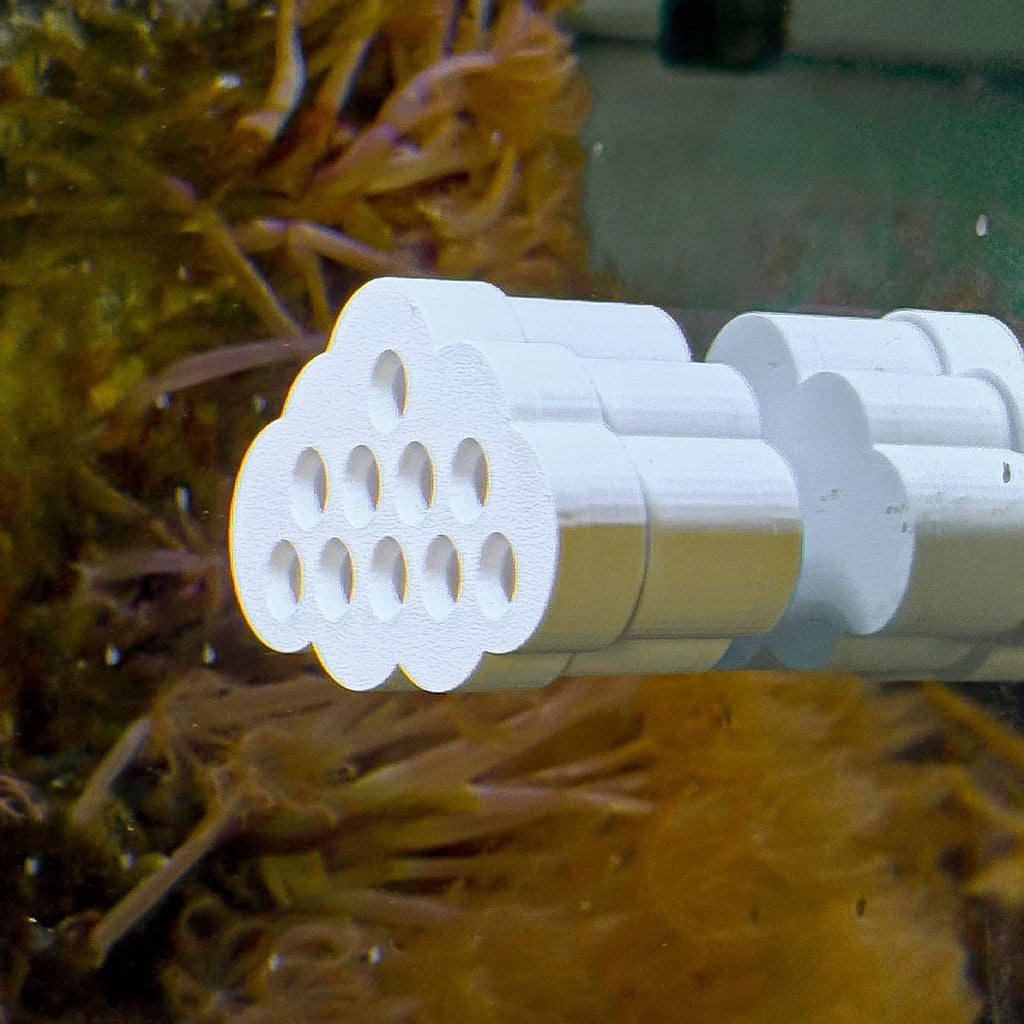 Cloud Butterfly Fish / Shrimp Feeder