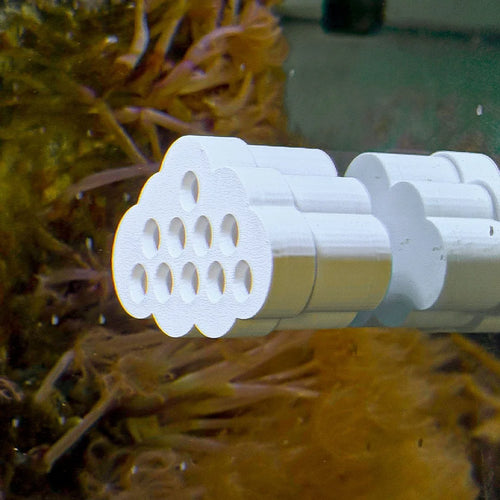 Cloud Butterfly Fish / Shrimp Feeder