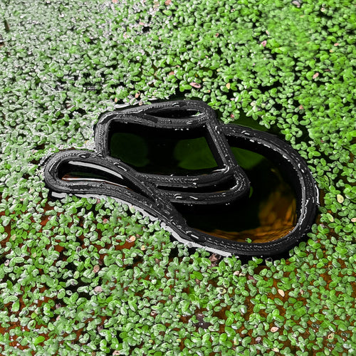 Cowboy Hat Feeding Portal