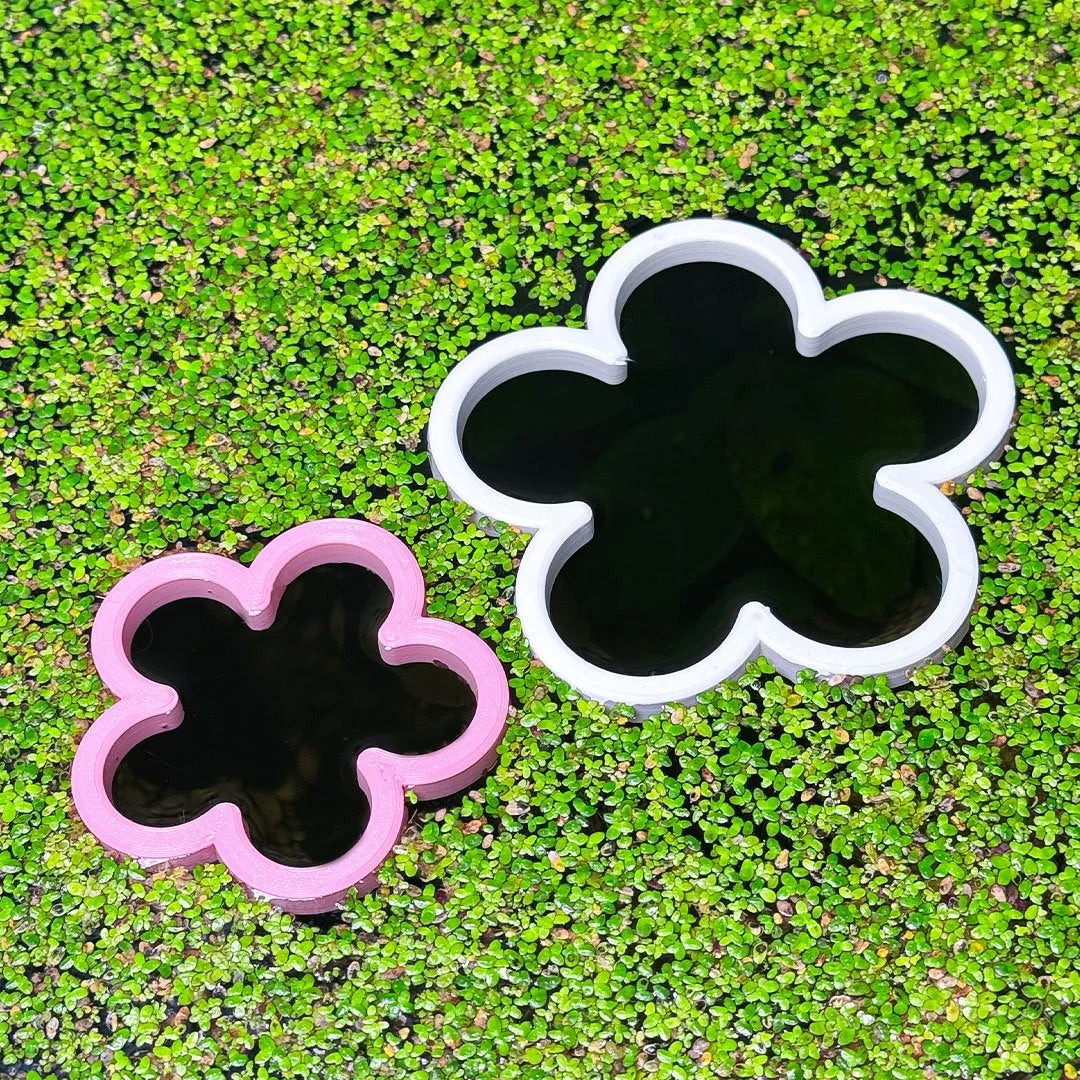 Daisy Fish Feeding Portal