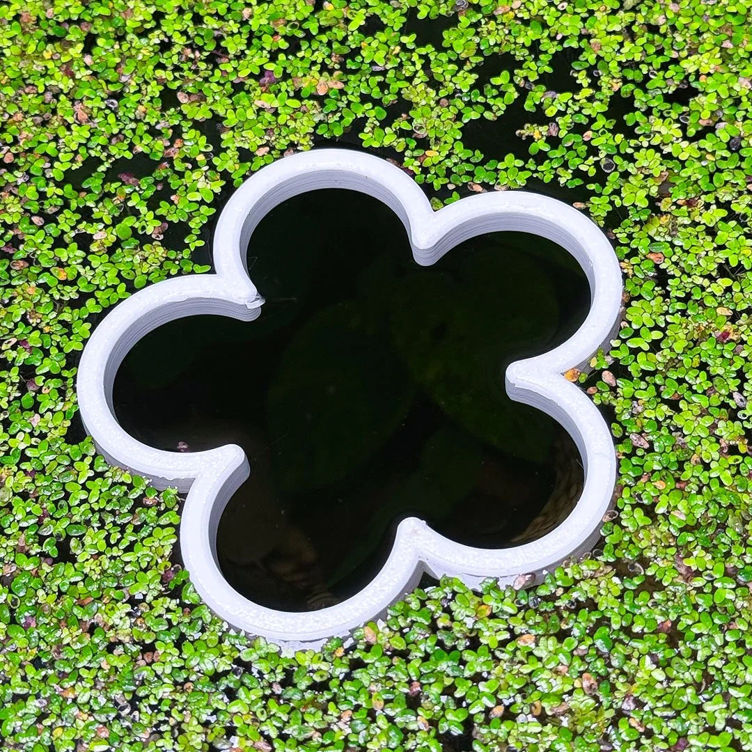Daisy Fish Feeding Portal