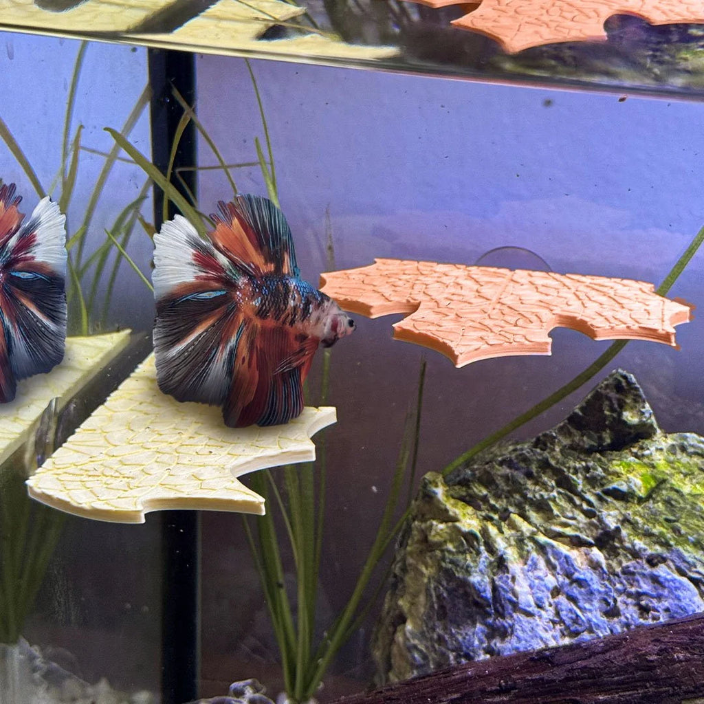 Fall Maple Leaf Betta Perch / Hammock