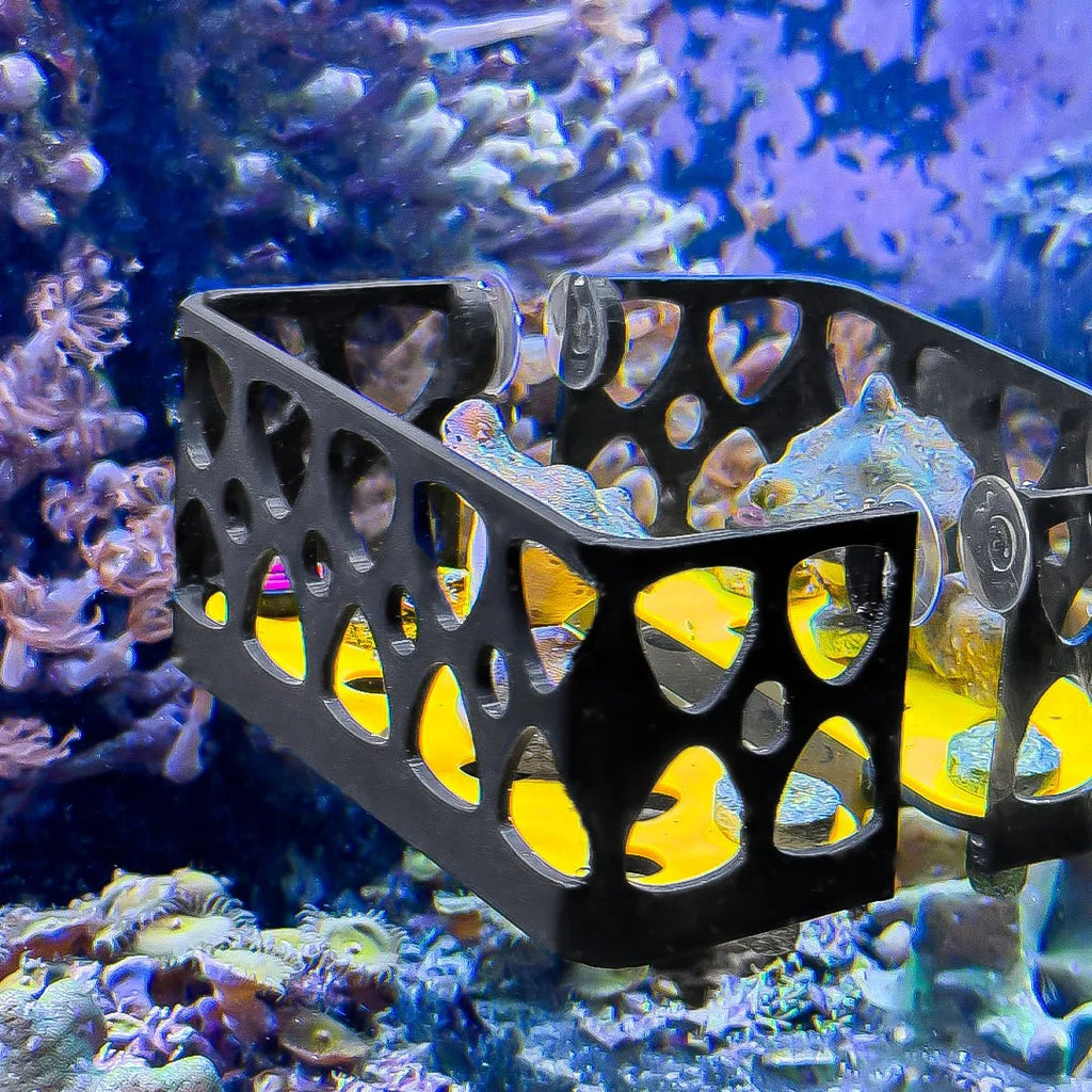 FragGuard Cage - for Magnetic GlowRack