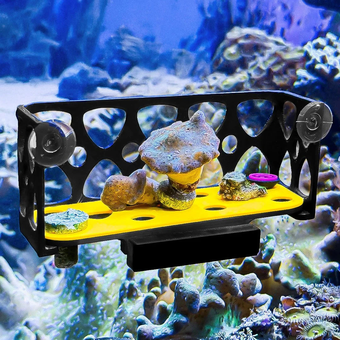 FragGuard Cage - for Magnetic GlowRack
