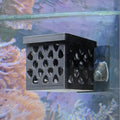 Frag Nursery - Loose Coral Fragment Holder