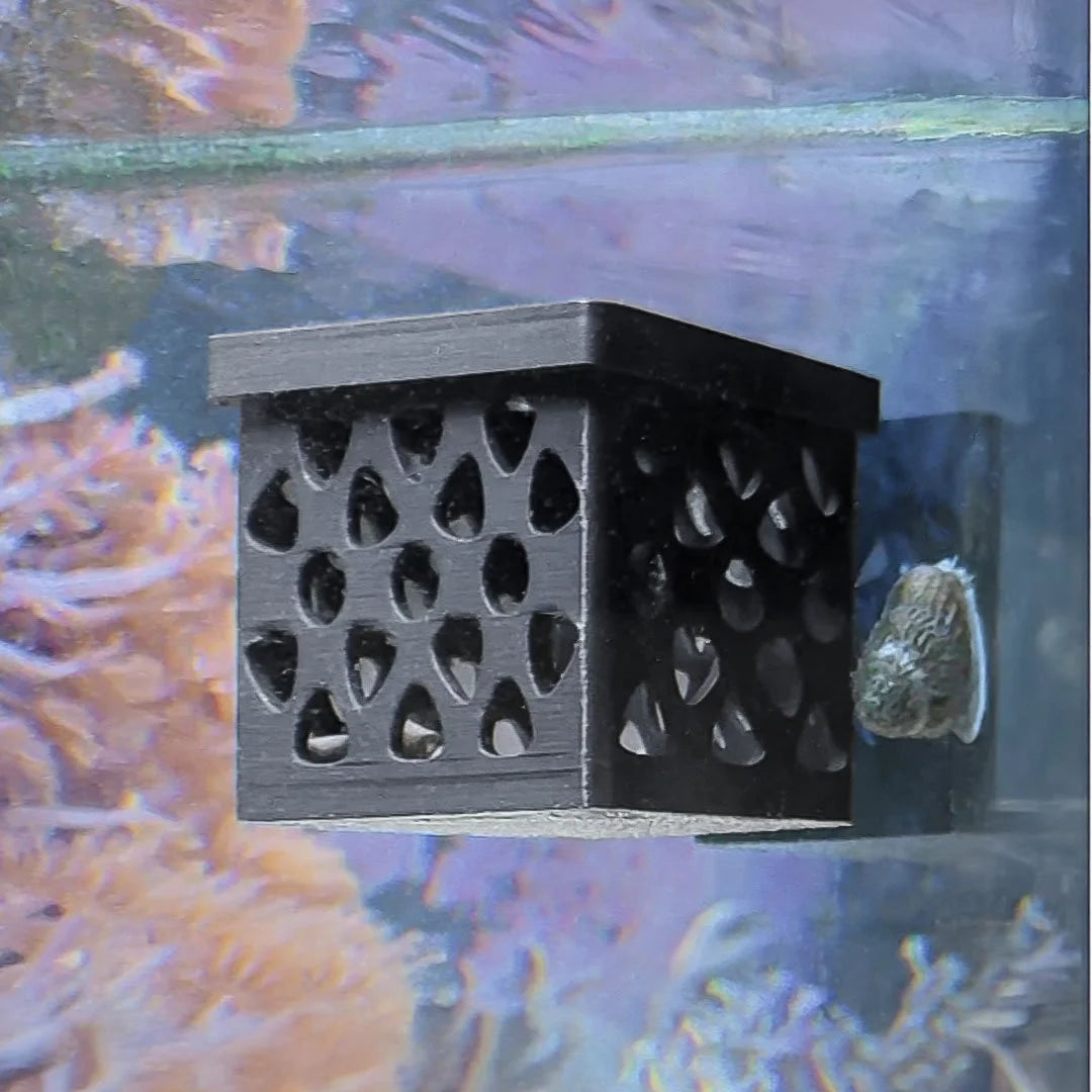Frag Nursery - Loose Coral Fragment Holder