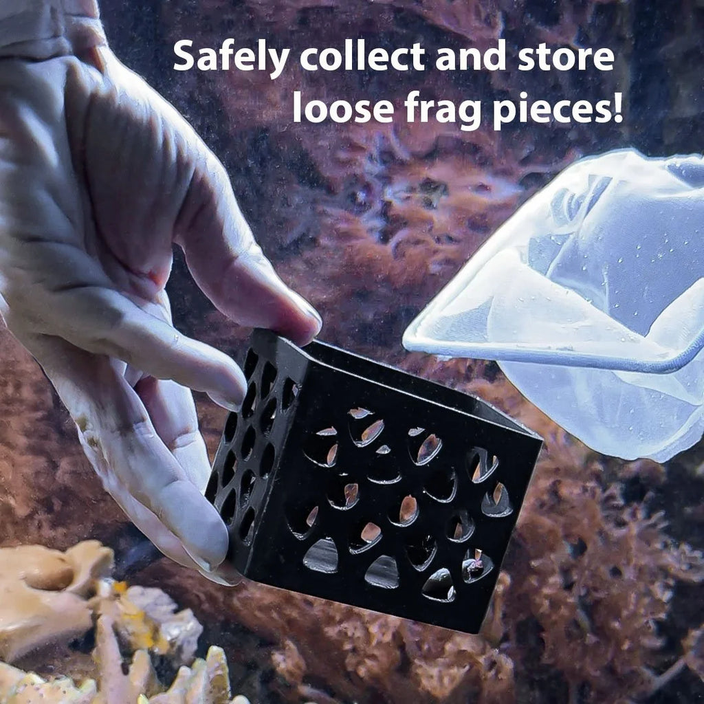 Frag Nursery - Loose Coral Fragment Holder