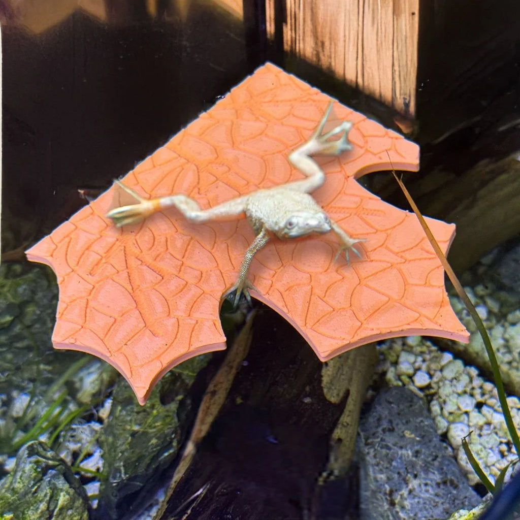 Fall Maple Leaf Corner Frog Perch